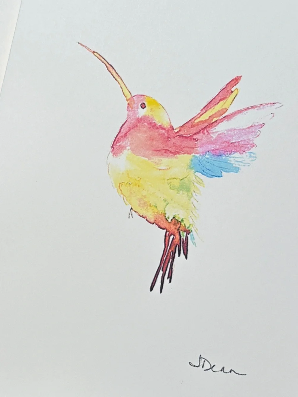 Set of 5 Watercolor Blank Cards Birds